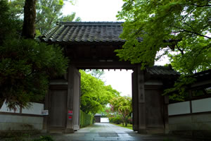 �I�R���̖�