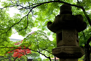 �I�R���̒뉀